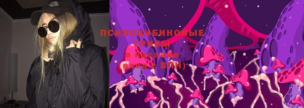 ГАЛЛЮЦИНОГЕННЫЕ ГРИБЫ Наволоки